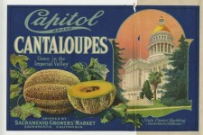 cantaloupes2